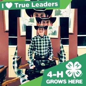 Meet your Posher, Quinn